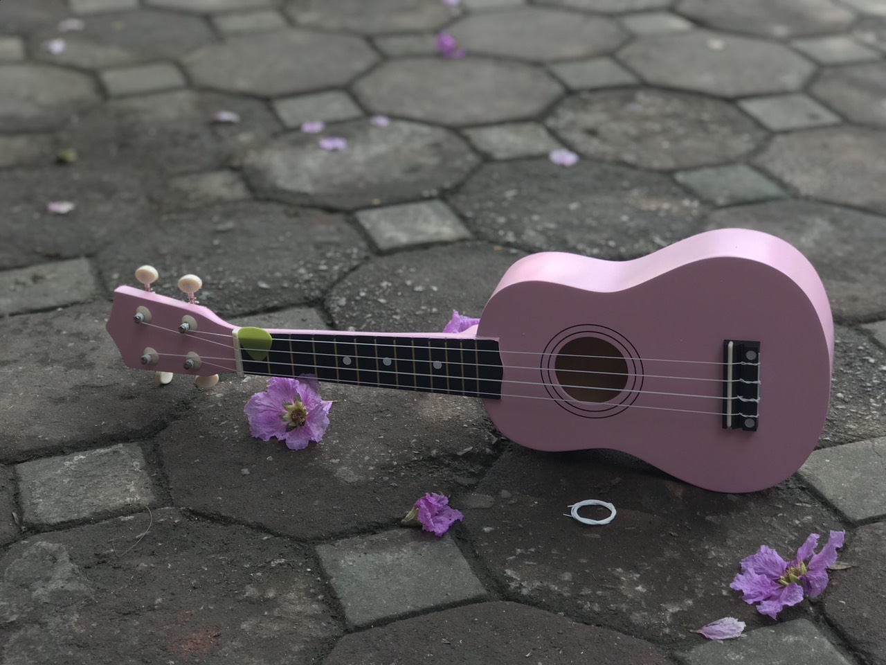Đàn Ukulele Âm thanh chuẩn SolG