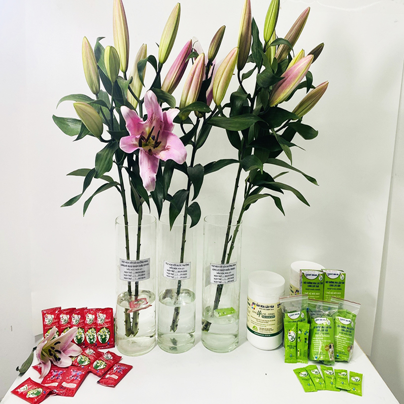 Bột cắm hoa Longlife dành cho shop hoa, Florist dưỡng hoa tại shop hoa, chuyên dùng cắm bình và mút xốp giữ hoa tươi lâu gấp 2 lần và 14 ngày không thay nước mới