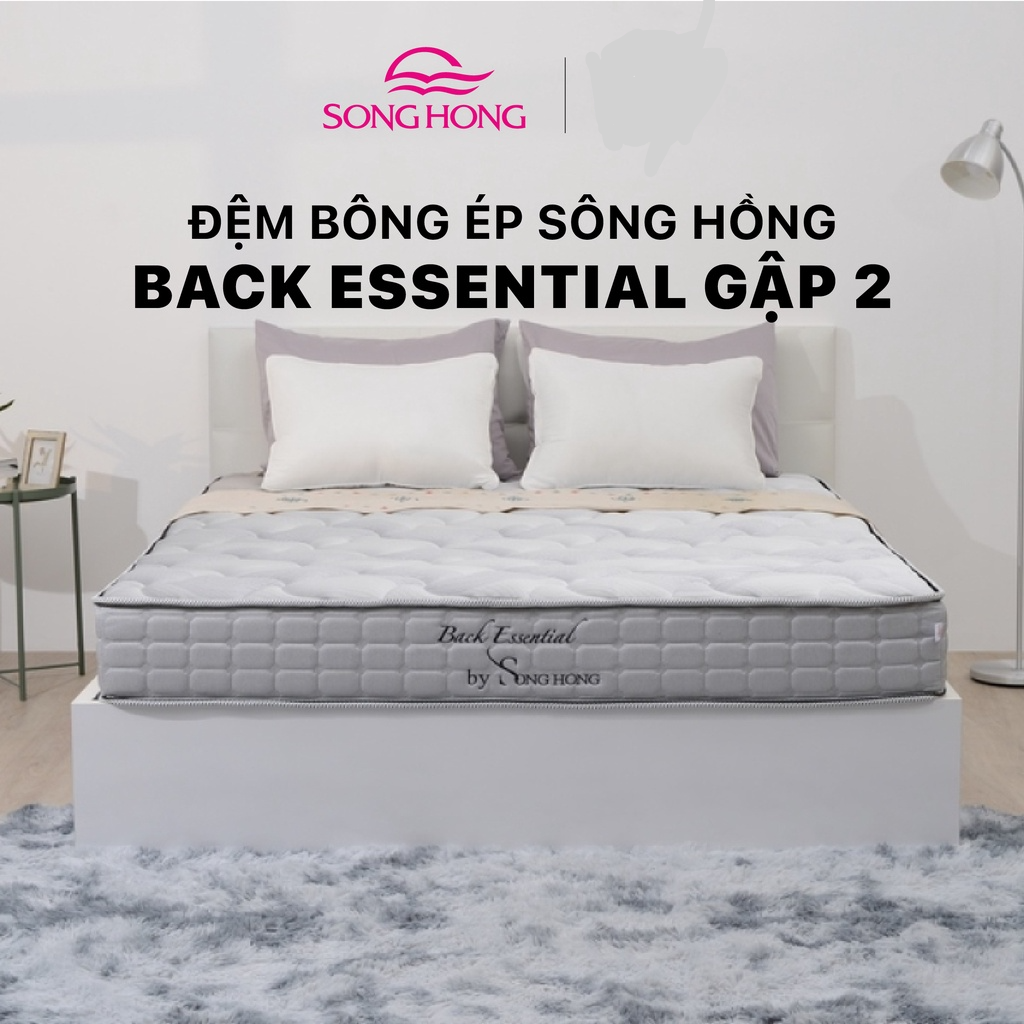 Đệm bông tinh khiết sông hồng cao cấp back essential