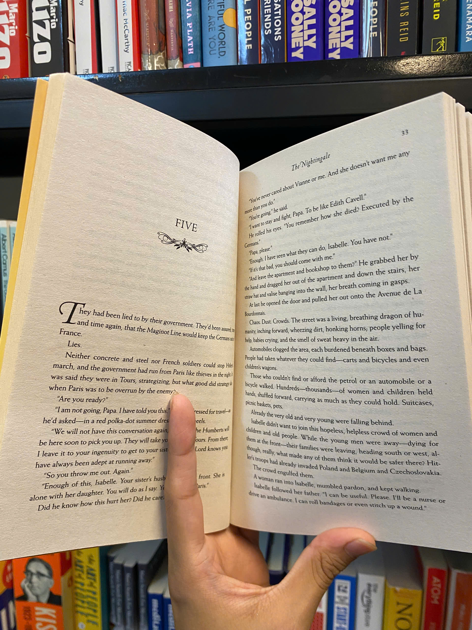Sách - The Nightingale by Kristin Hannah / Historical Literature &amp; Fiction / Tiểu thuyết tiếng Anh