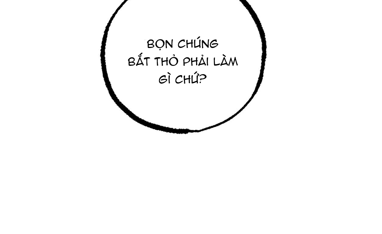 đàn thỏ của habibi chapter 46 61