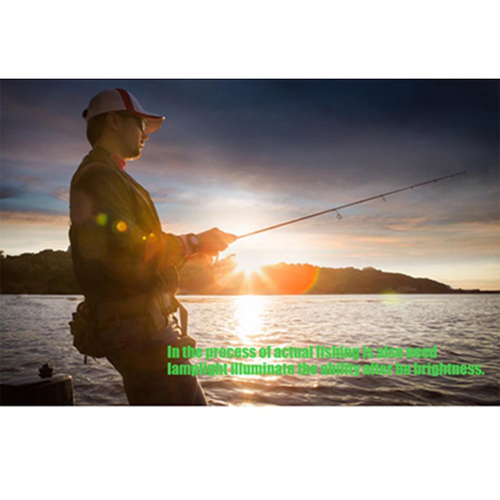 1 Set 200PCS/Set Luminous Fishing Beads Green Assorted Hard Plastic Oval Shaped Bead Glow Fishing Lures Baits Accessory with Fishing Tackle Box