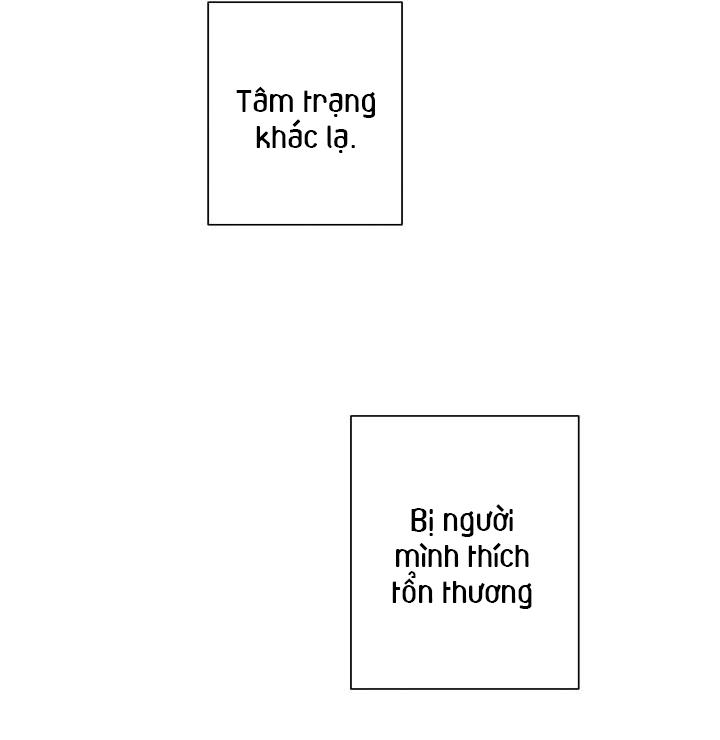 âm thanh của san hô chapter 19 26