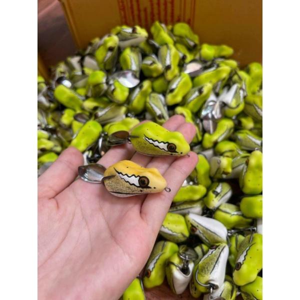 Nhái hơi sóc chuột chuyên cá lóc