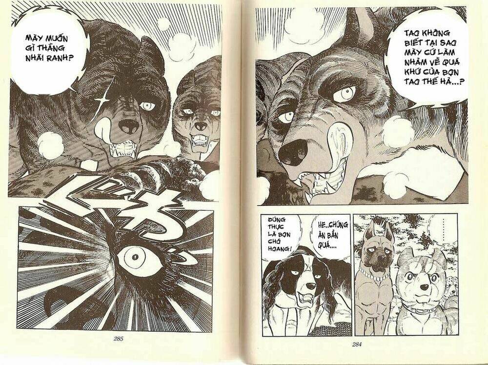 chú chó có nghĩa - ginga nagareboshi gin chapter 12 9