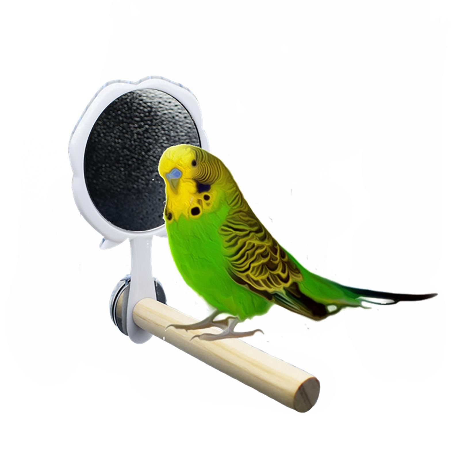 Wooden Bird Mirror Stand Platform Toys for Parrot B