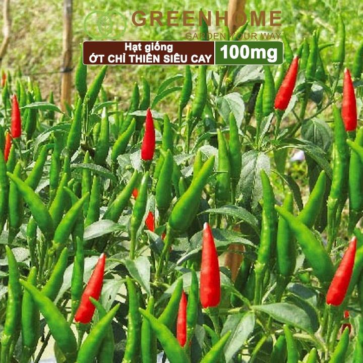 Hạt Giống Ớt Chỉ Thiên Greenhome, Gói 1gr, Sai Trái, Siêu Cay, Dễ Trồng Quanh Năm, Nảy Mầm Cao, Thu Hoạch Nhanh G10