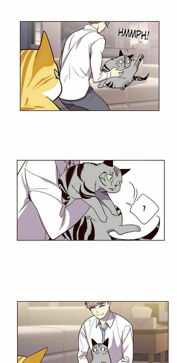 biến thân thành mèo chapter 10 23