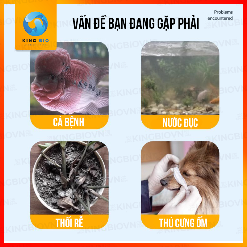 Thuốc tím Yee Disinfectant - dung dịch Kali Permanganat khử trùng diệt khuẩn cho bể cá