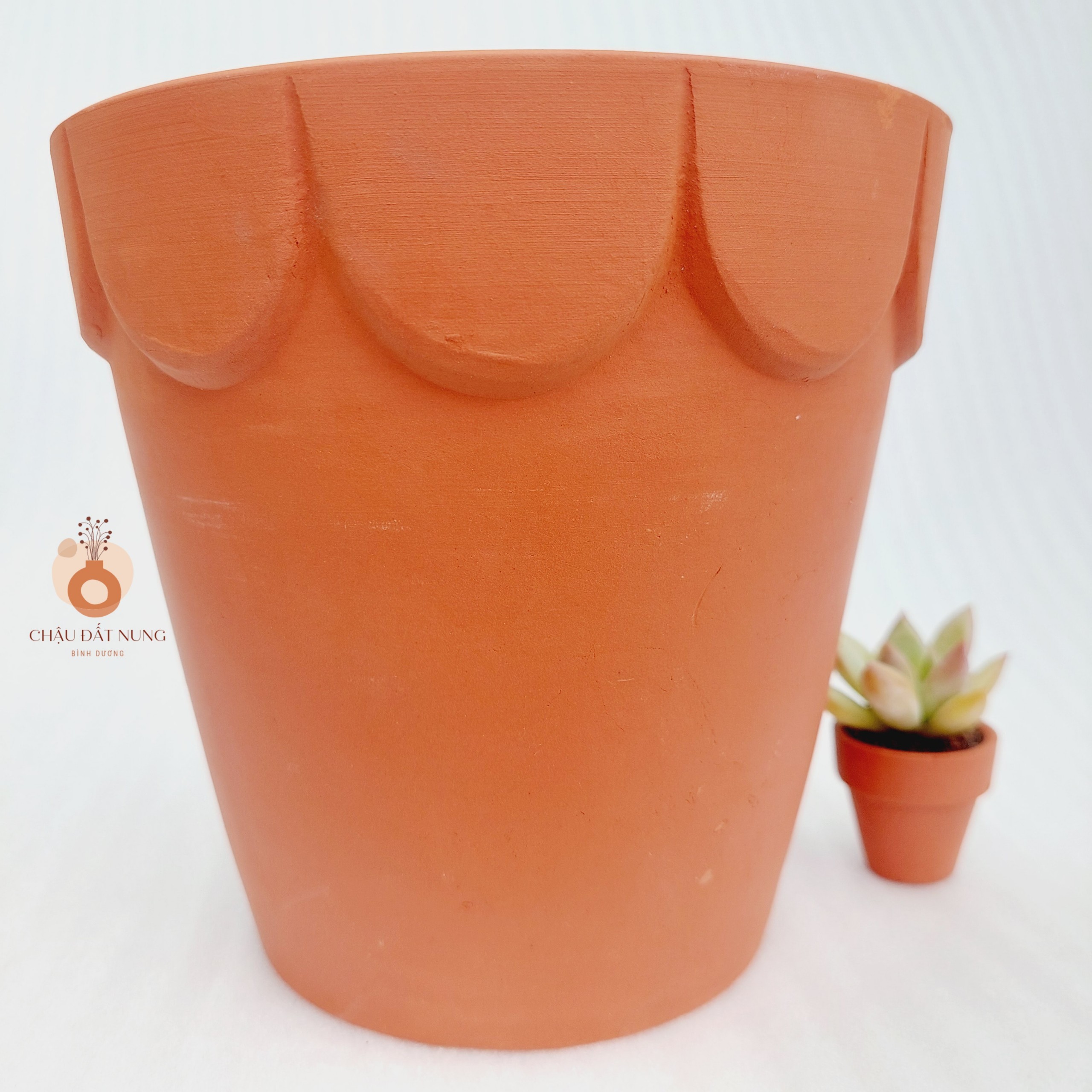 Chậu đất nung - Ly gờ hoa, miệng chậu 16cm, chiều cao 16cm