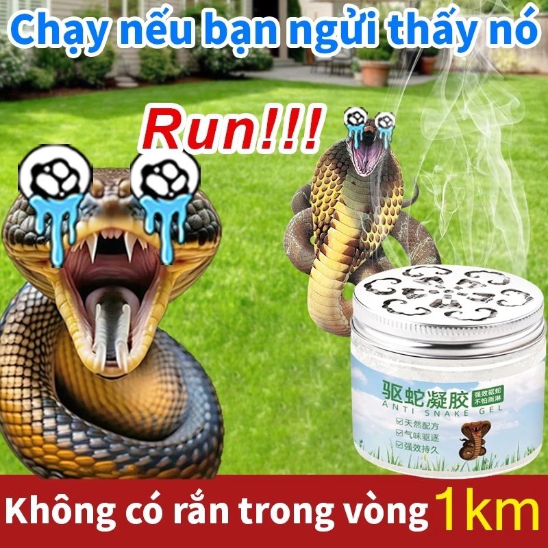 10000 mét không có rắnthuốc đuổi rắn gel đuổi rắn từ thực vật, chống rắn cô đặc Kéo dài 180 ngày
