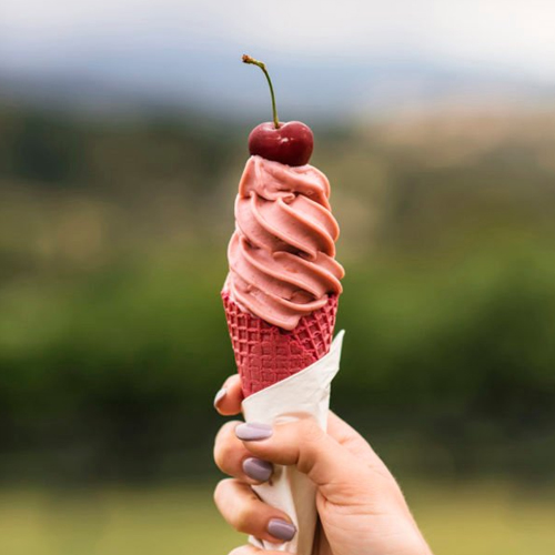 Nguyên liệu làm kem vị Anh Đào Cherry - Pasta Amerena (Sour cherry - 306C ) - Nhập khẩu Ý - Aromitalia _ Vua Kem