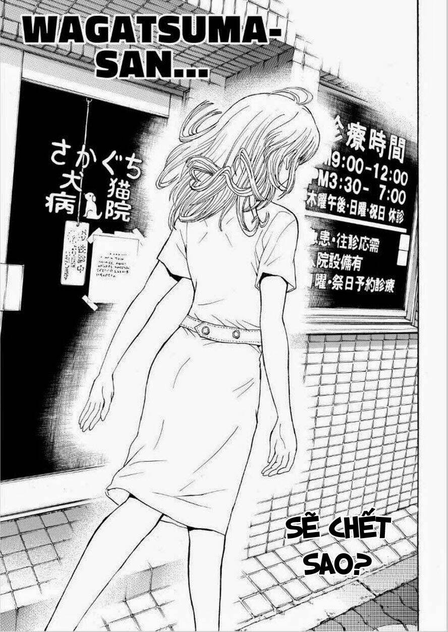 vợ tôi là wagatsuma chapter 93 10