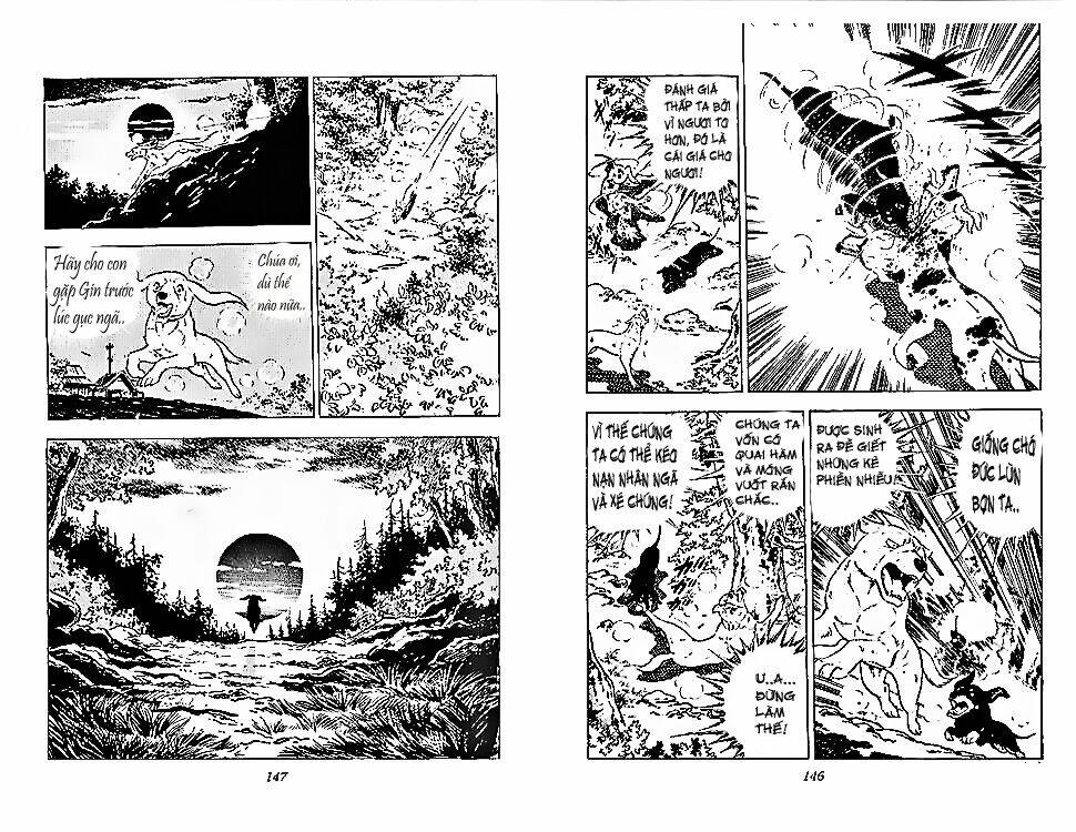 chú chó có nghĩa - ginga nagareboshi gin chapter 28 12