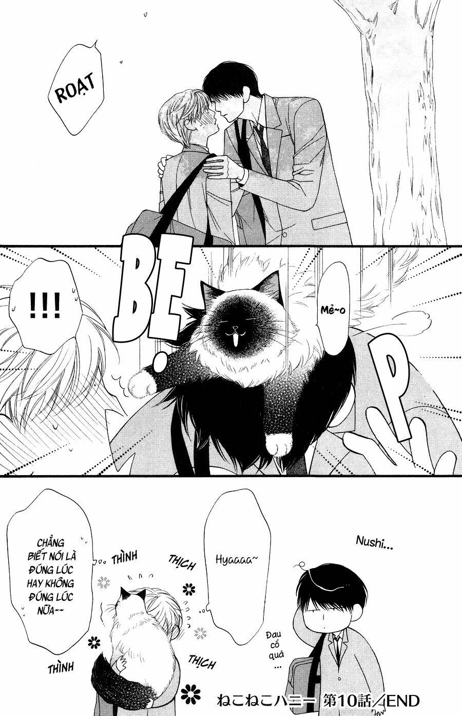 neko neko honey chapter 10 32