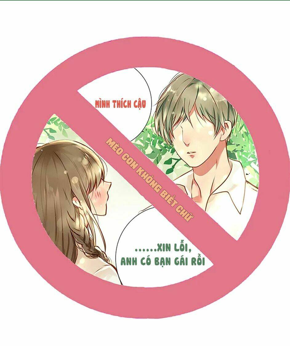 không có ssr làm sao để yêu chapter 0 4