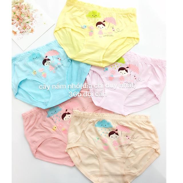 Set 5 quần chip cho bé gái