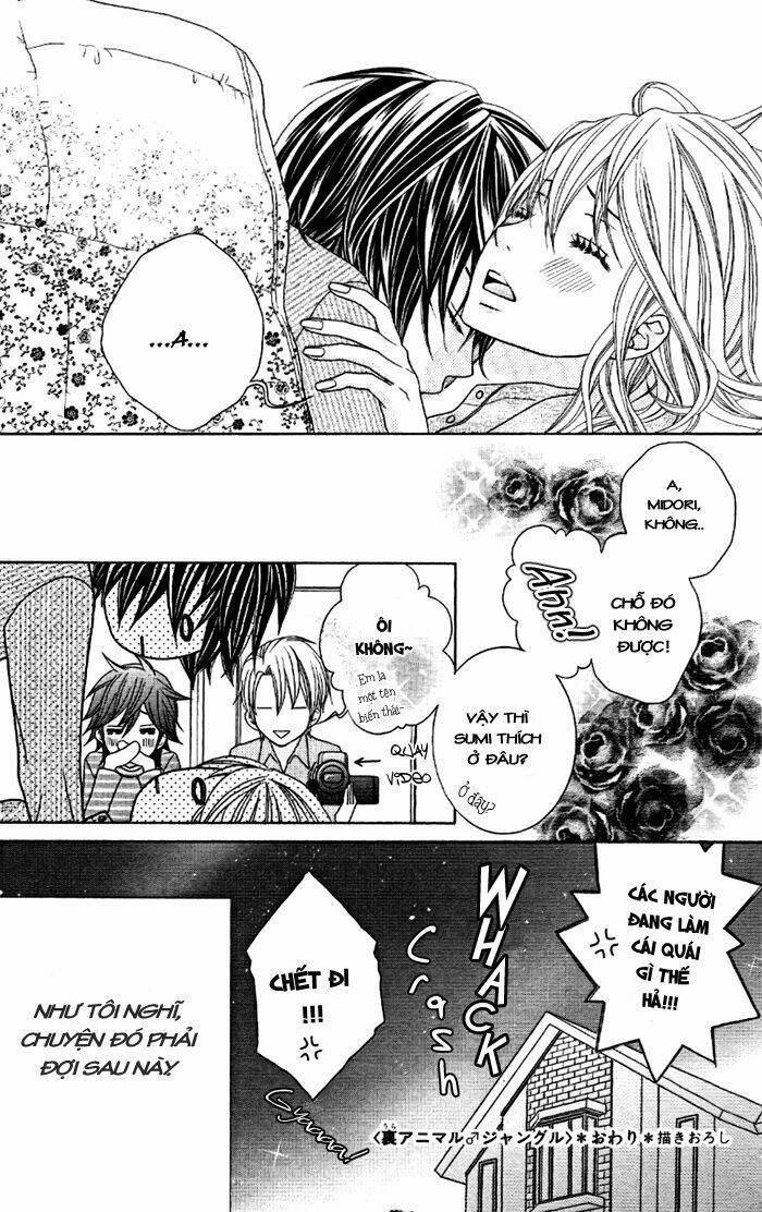 animal jungle chapter 4 45