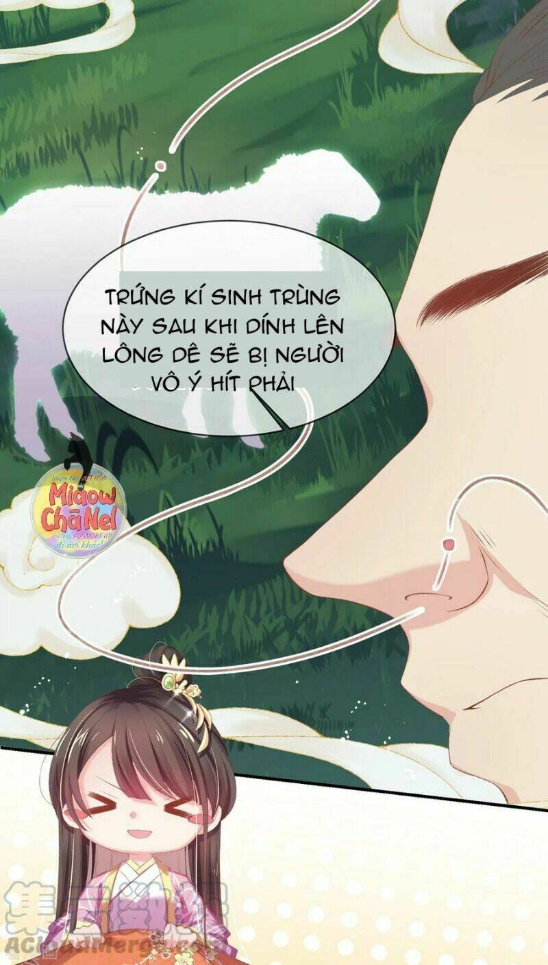 thị huyết y phi chapter 36 33