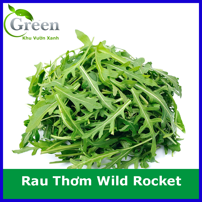 Hạt Giống Rau Thơm Wild Rocket