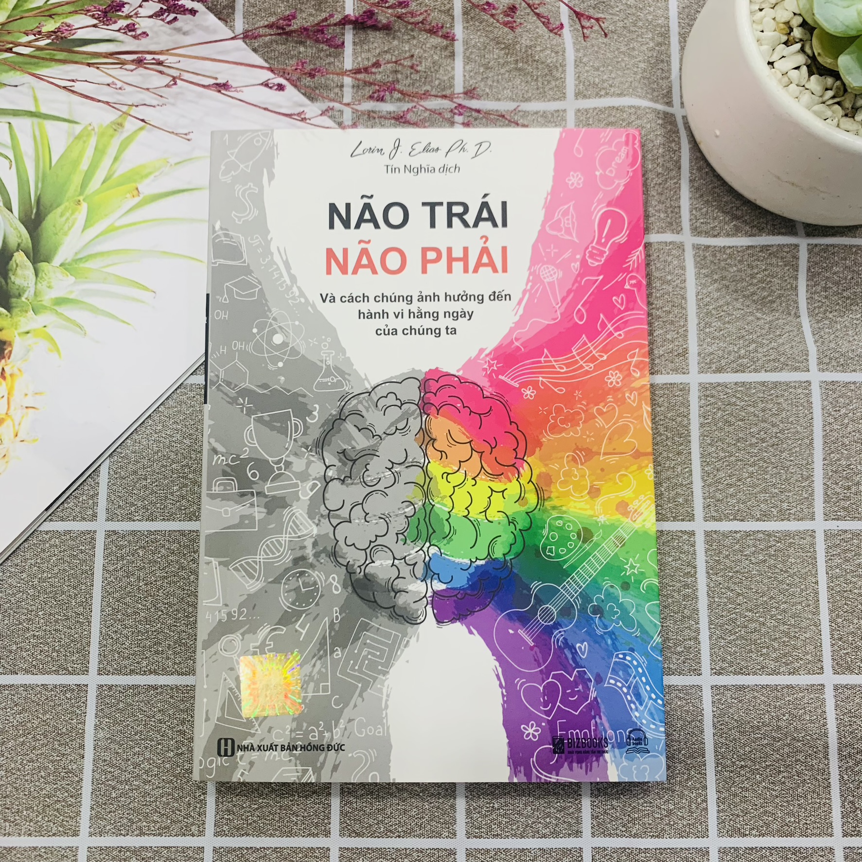 Não Trái - Não Phải: Và Cách Chúng Ảnh Hưởng Đến Hành Vi Hằng Ngày Của Chúng Ta