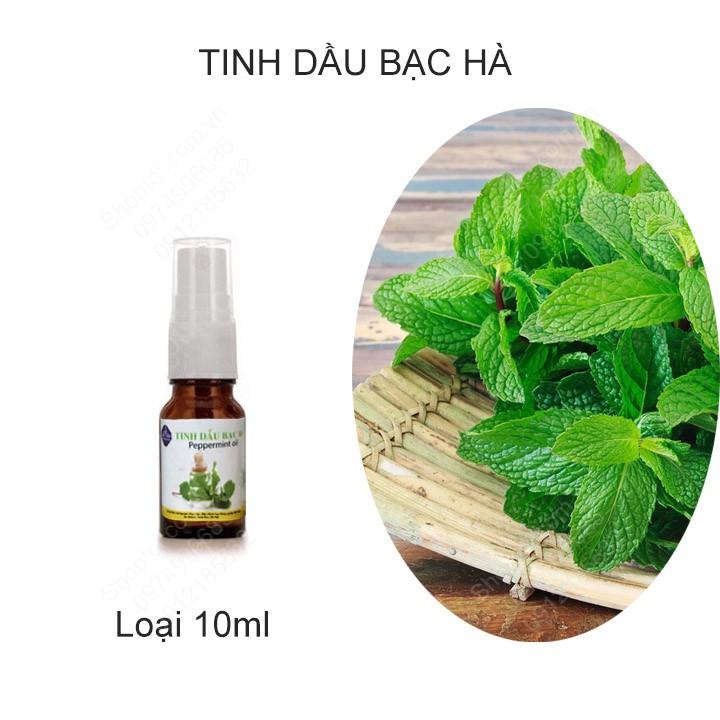 Tinh dầu Bạc hà 100% nguyên chất giúp xịt thơm phòng, được chiết xuất từ bạc hà