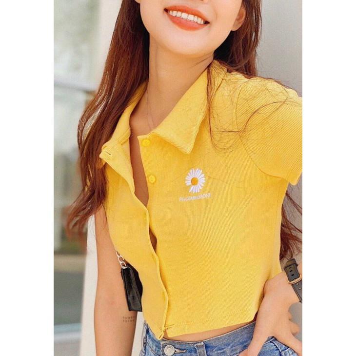 Áo Croptop Polo Kiểu Thêu Hoa Cúc CT15