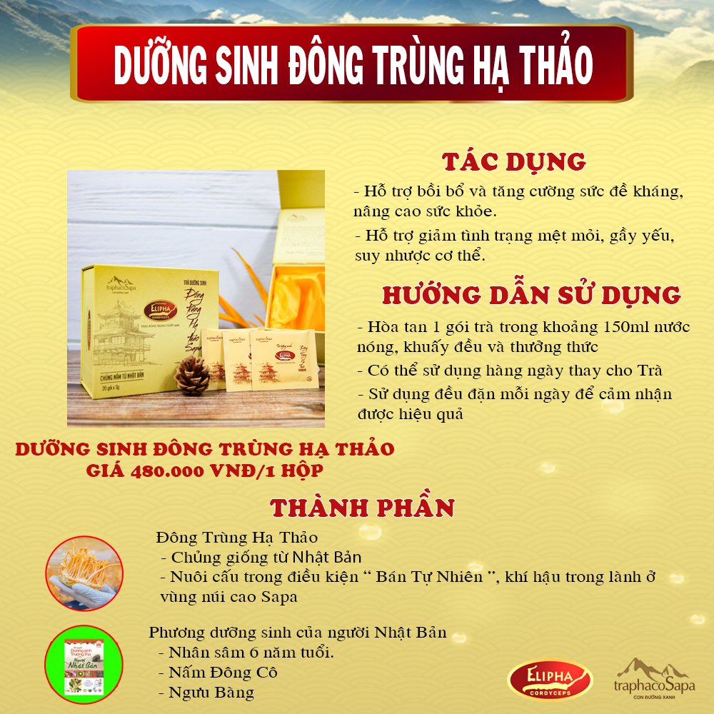 Trà dưỡng sinh đông trùng hạ thảo