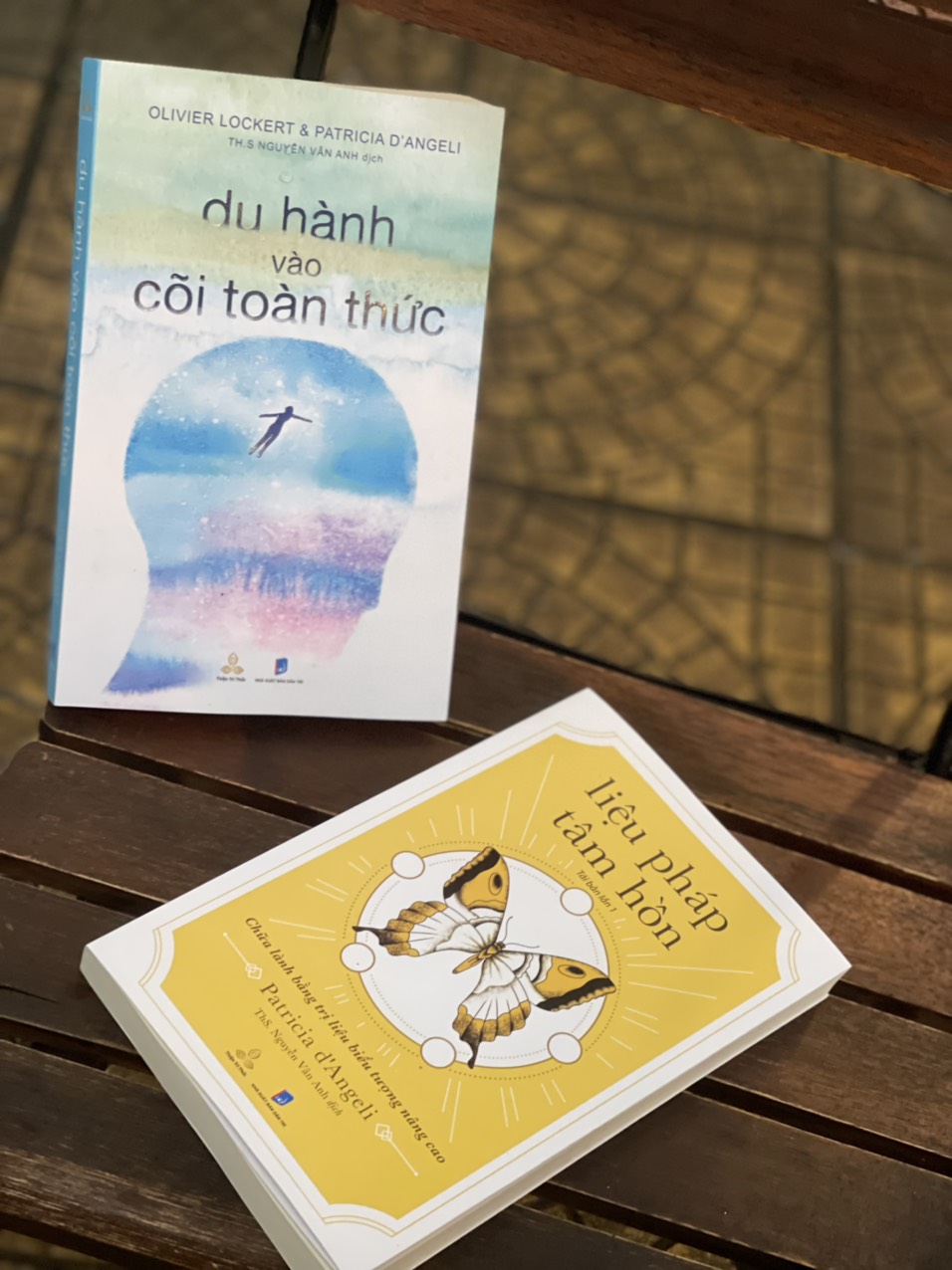 LIỆU PHÁP TÂM HỒN – DU HÀNH VÀO CÕI TOÀN THỨC – Thiện Tri Thức