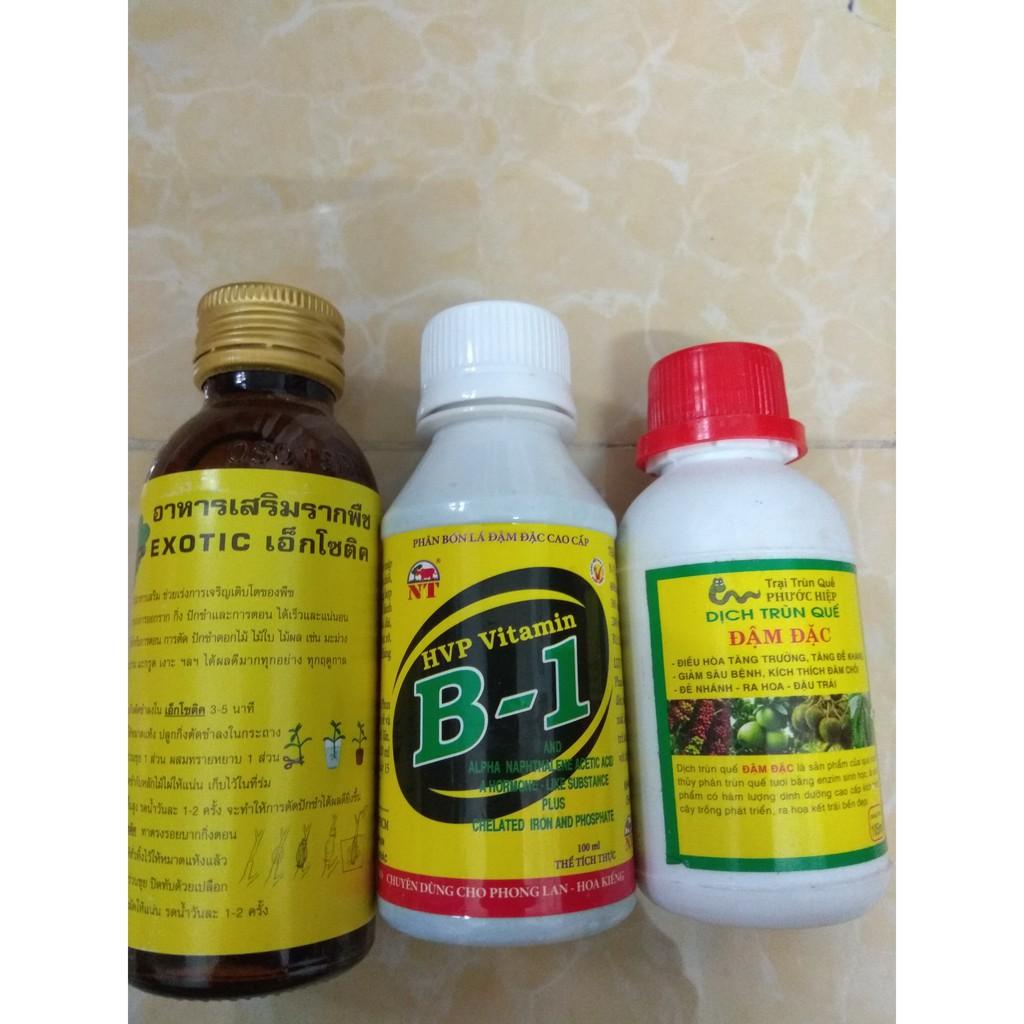 Combo kích rễ dưỡng cây Exotic - B1 HVP 100ml tặng chai dịch trùn quế đậm đặc 105ml