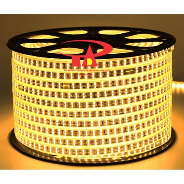 Đèn led dây 2835 màu xanh dương cuộn 100m