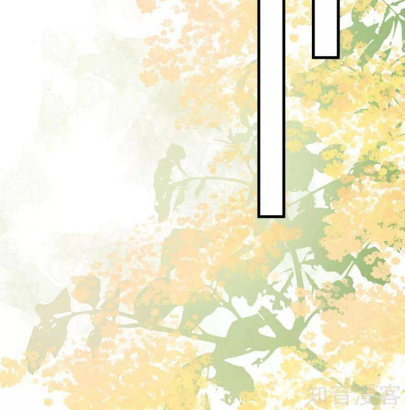 tối cường vận đào hoa chapter 197 8