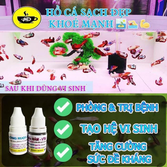 Dụng cụ vệ sinh hồ cá - CHÀ HÍT NAM CHÂM