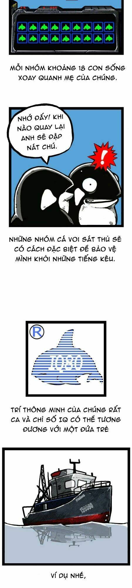 earth, human, and animal chapter 23 20