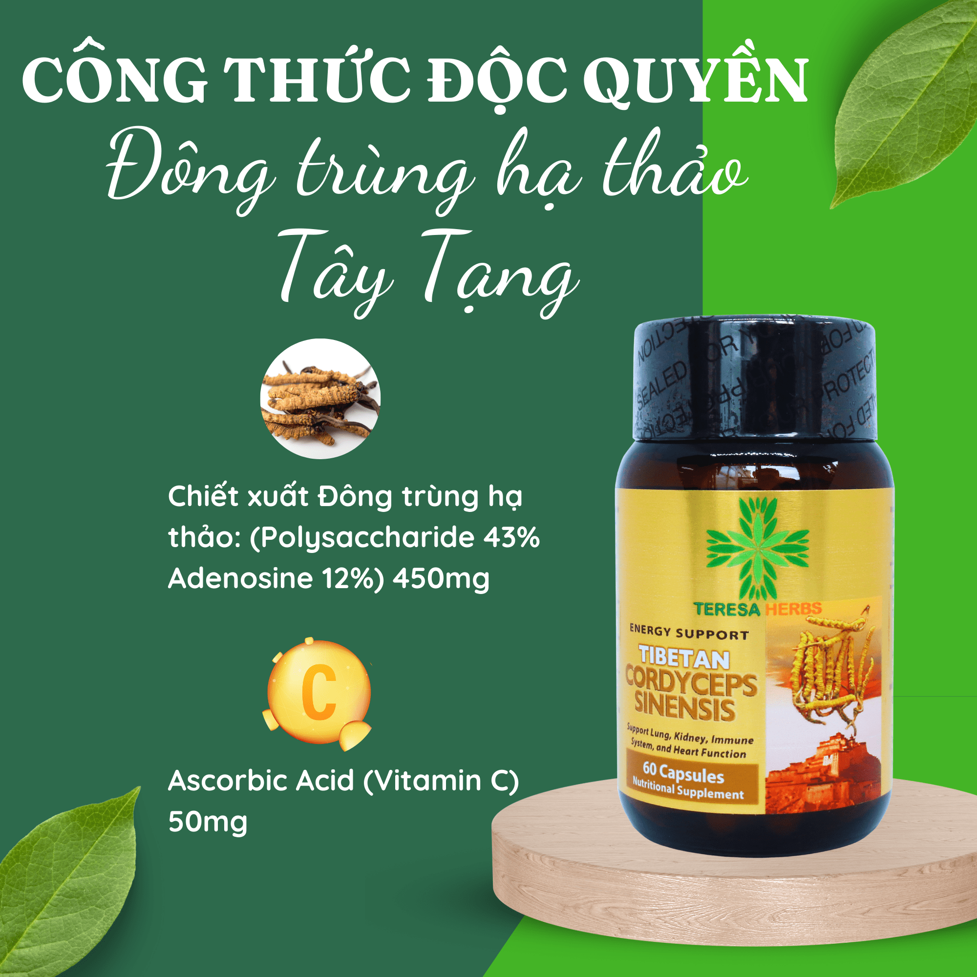 Đông Trùng Hạ Thảo Tây Tạng (Made in USA) - Hoạt chất Polysacharide và Cordycepin/Adenosine cao, giúp tăng đề kháng, hệ miễn dịch nhanh, bổ phổi, bổ thận, ngủ ngon, giảm mệt mỏi, chống lão hóa, tăng cường sinh lý ( 60 Viên 500mg/ viên)