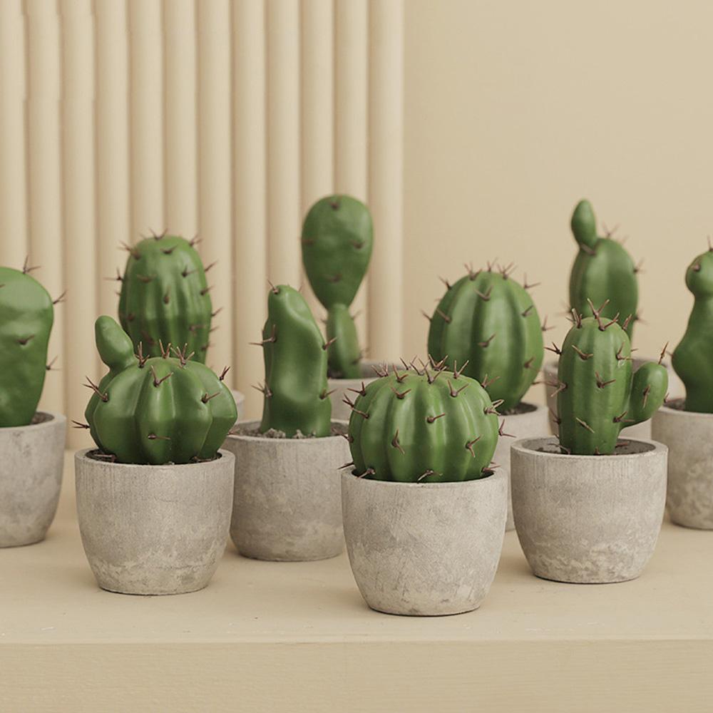 Cây Xương Rồng Giả Trang Trí Sân Vườn