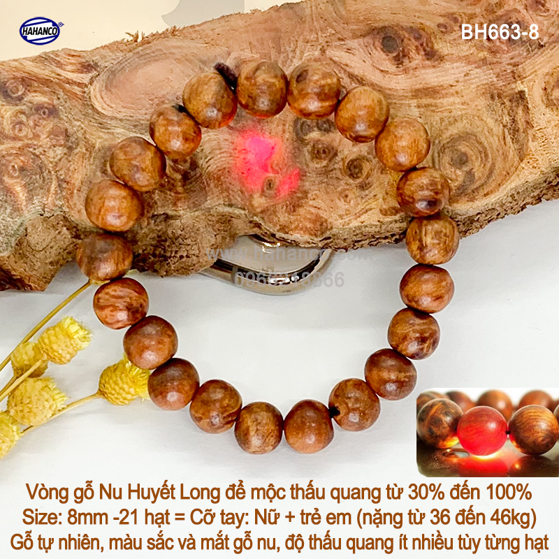 Vòng tay Nu huyết long Thấu quang để mộc hàng VIP - Mùi thơm vĩnh viễn Bracelets of HAHANCO