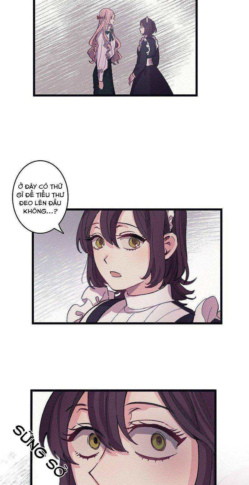 a lady's table chapter 5 25