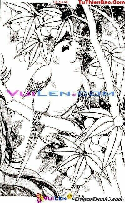 đóa hoa yêu kiều chapter 2 24