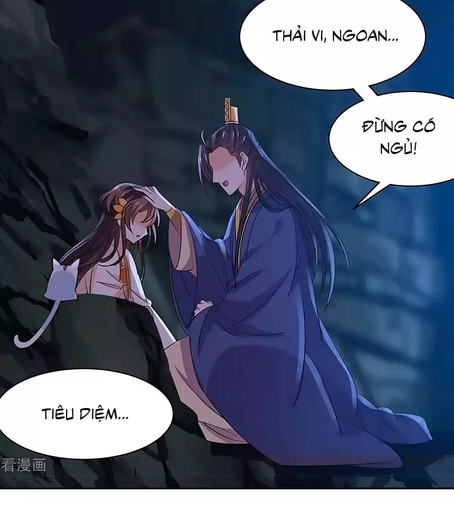 Vương Gia Là Đầu Đại Lão Hổ Chapter 70 - Trang 4