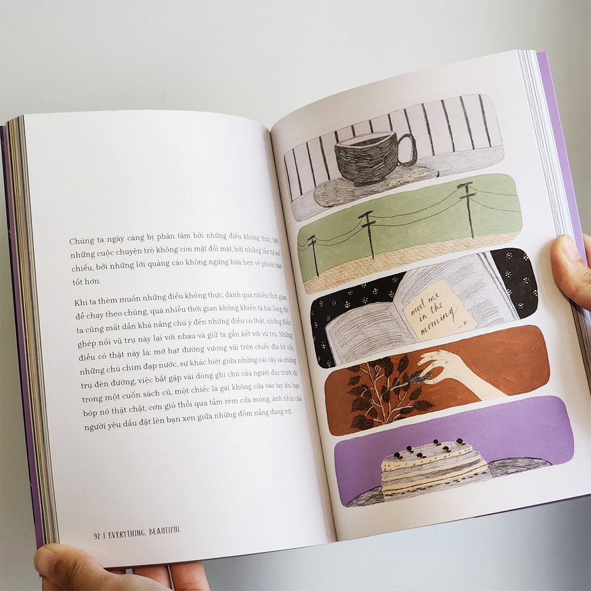 Sách Everything, Beautiful! - Tìm Về Và Kết Nối Với Vẻ Đẹp Tiềm Ẩn Quanh Ta