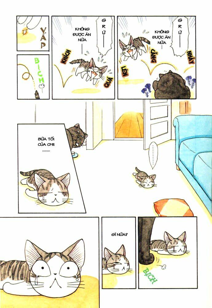 chi's sweet home chapter 28 7