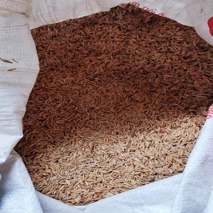 Vỏ trấu tươi trồng LAN ,rau ,hoa, thủy canh, chăn nuôi - gói 1 kg