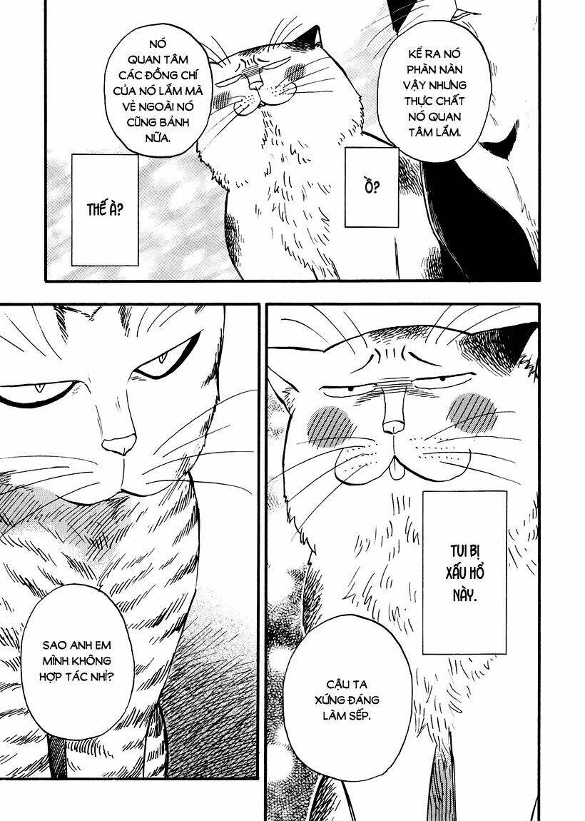 tui là busamen! chapter 6 4