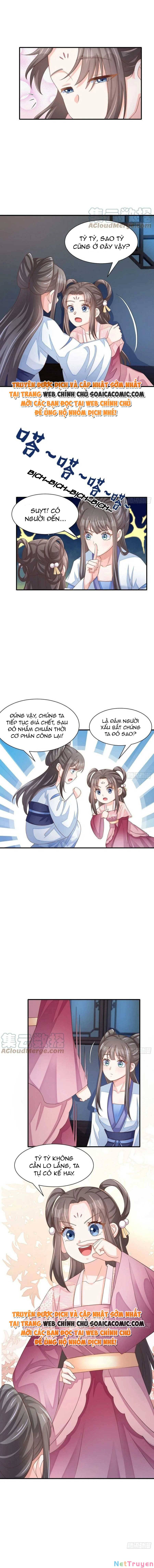 thuần hóa ba ba bạo quân chapter 58 2