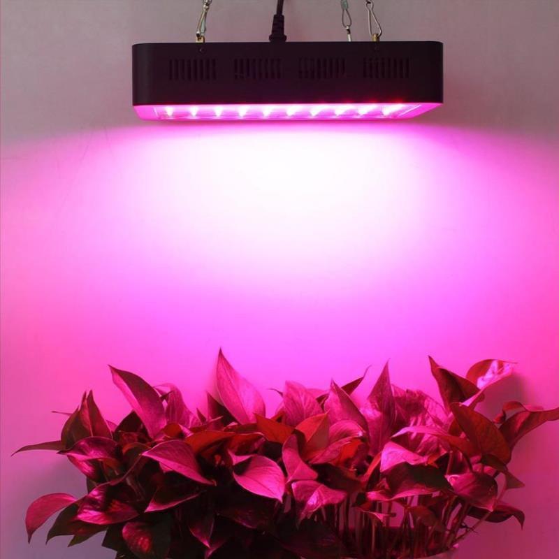 Đèn Led trồng cây, đèn trồng cây trong nhà, led grow light (GL-300W) - Home and Garden