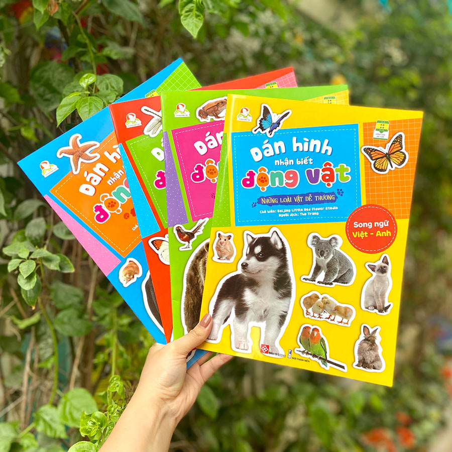 Dán hình nhận biết động vật - Chim và côn trùng