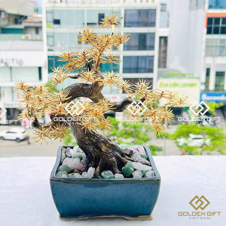 Cây Tùng La Hán mạ vàng