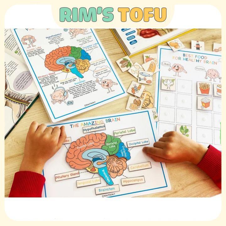 Bộ học liệu bóc dán montessori Khám phá giải phẫu cơ thể Anatomy Busy Book