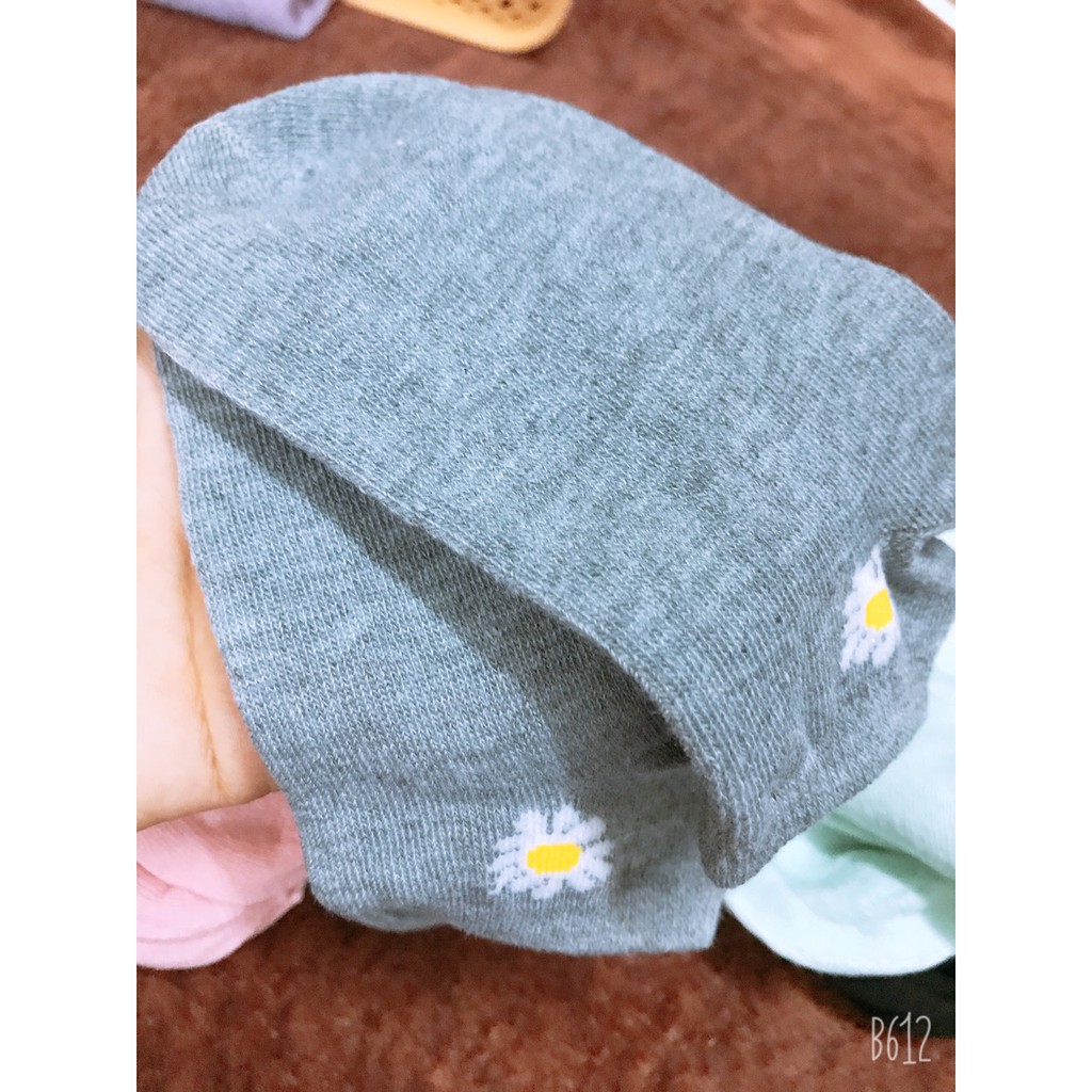 Tất hoa cúc trơn nhiều màu